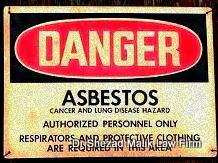 Asbestos Mesothelioma and Lung Cancer